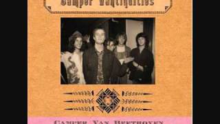 Camper Van Beethoven Photograph