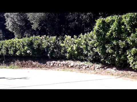 Rally Cittá Di Camaiore 2013