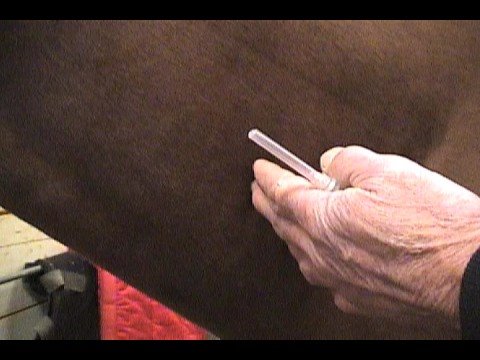 How to give a shot in the neck