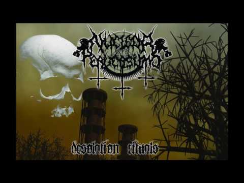 Nuclear Perversions - Misanthropic Annihilation
