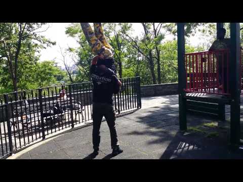 Nyc hcw fights Wilson colt vs dynamo&xcon