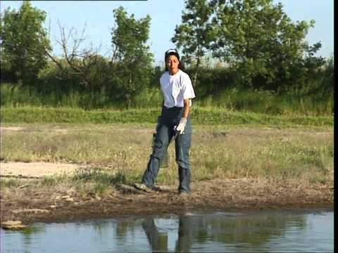 pourquoi la piqure de moustique demange