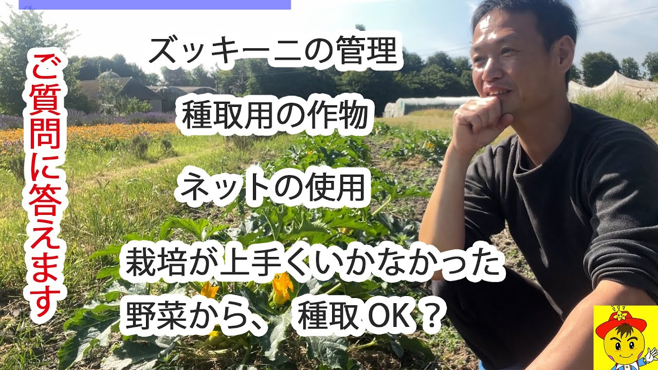 自然栽培での自家採種と育苗管理のポイント|今橋さんのQ&Aまとめ