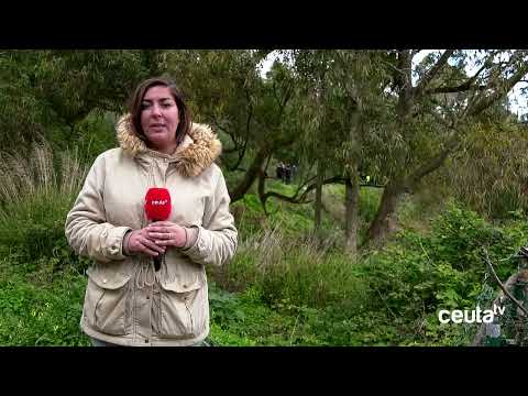 Más de 70 agentes y 5 perros de búsqueda para tratar de encontrar el cuerpo de Mohamed