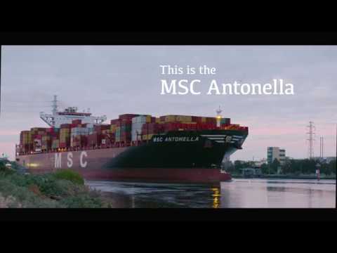 Thumbnail for The MSC Antonella