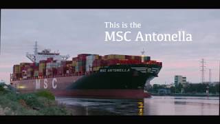 The MSC Antonella