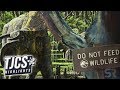 New Jurassic World Short Film Battle At Big Rock What Does It Mean