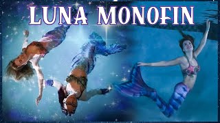 Luna Mermaid Monofin Unboxing & First swim! Ft