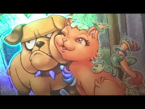 3rd Place Prank Kids Deck Profile December 2020