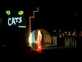 Sarah Meredith Memory From Cats