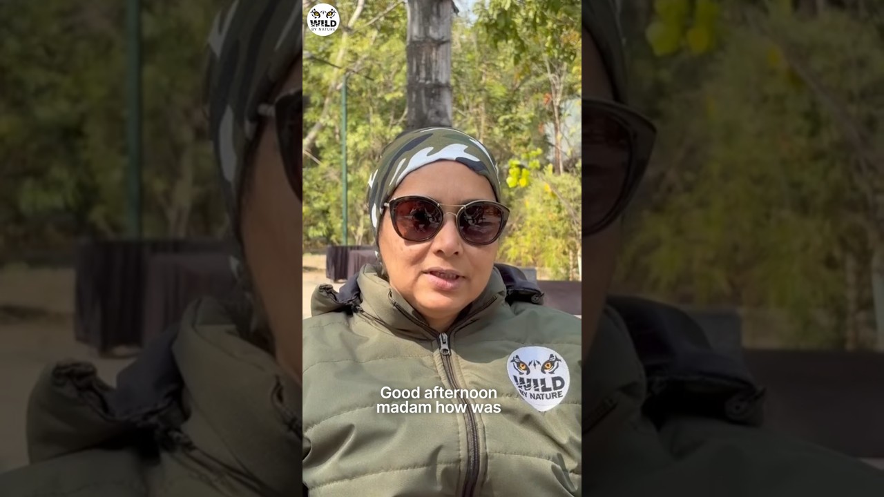 Pench & Kanha Safari Tours In January 2026