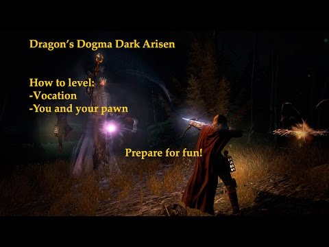 Dragons Dogma Level