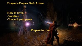 Leveling character and vocation guide (Dragon's Dogma Dark Arisen)