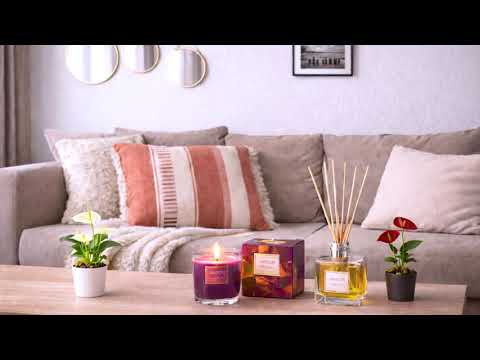 Prețuri mici pentru schimbări cu impact!