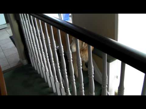 Backward stair walking