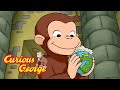 George Saves A Castle Curious George Kids Cartoon Kids Movies