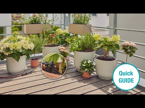 Bewässerungssystem Balkon: So einfach installierst Du das GARDENA Micro-Drip-System