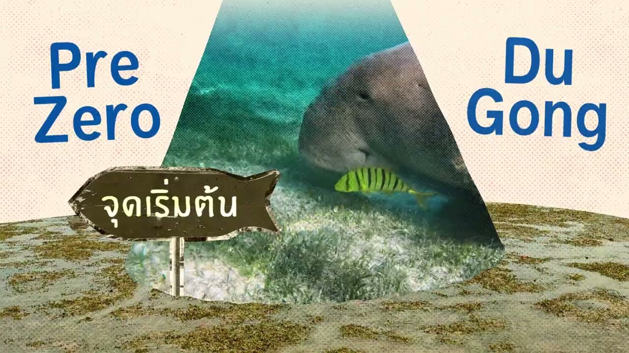 จากการลดขยะพลาสติก สู่มรดกการอนุรักษ์ทะเลโดยชุมชนตรัง - PreZero Dugong Project