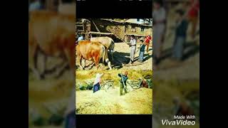 AŞIK İZZET SAVAŞ..BEN DERDIMİ AÇSAM GÜLŞEN BAGINA DEĞİL SEVDIKLERIM EL AĞLAR BSNA