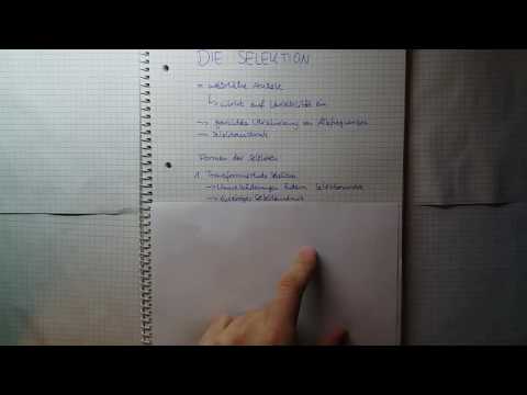Selektion, Grundlagen & Beispiele | #ParallelZumUnterricht Episode 4