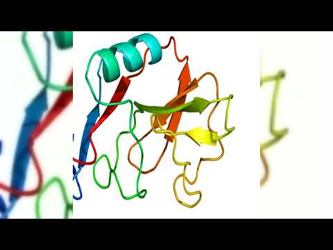 branden lowe x poqet - sango