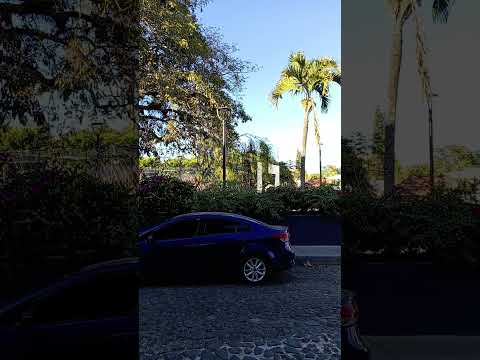 Ruta d las flores#elsalvador #elsalvador#turismo #elsalvadoresbello #naturalezapaisajes #rickmendoza