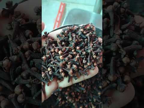 Whole organic dry cloves kerala