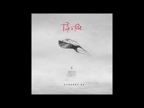 Edu Imbernon & Los Suruba - Formentera (Original mix). Tale&Tone 013