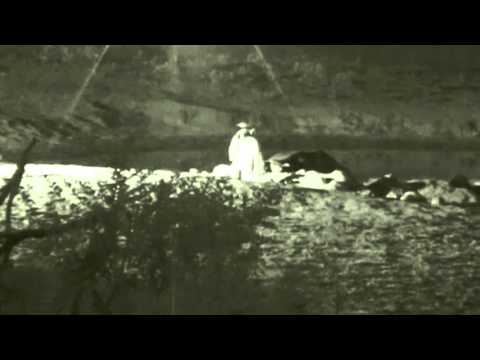 Leopard-Hippo Interaction  November 24,  2015