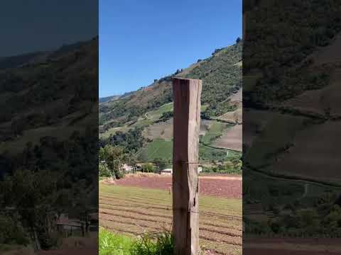 Nuestro sentimiento regional. Táchira. Venezuela.