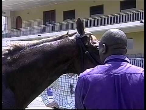 LYLE HEWITSON IST WINNER