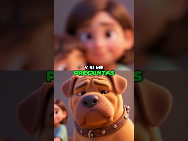 Vídeo relacionado con Perro le pedí a Dios un verdadero amigo Shar Pei Camiseta