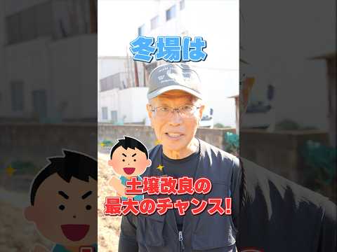 冬に堆肥が湿りすぎるのはなぜですか?原因と解決策！  庭園