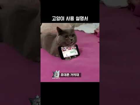 , title : '쉽게 따라하는 고양이 사용 설명서 #동물짤'