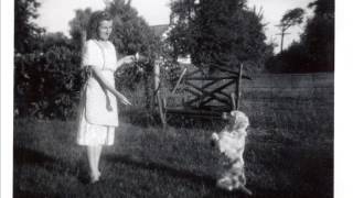 Chubby Newsome Please Throw This Poor Dog A Bone (1949)