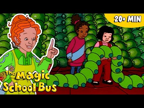 Baking, States of Matter & Molecules | Chemistry for Kids | Science for Kids | The Magic School Bus