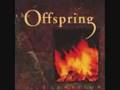 The Offspring Burn It Up