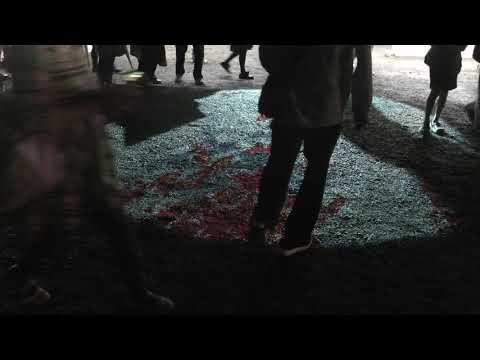 東京150年祭　デジタル金魚