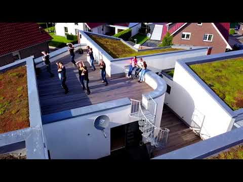 West Coast Swing Rally (Flashmob) 2018 - TanzArt | Lingen