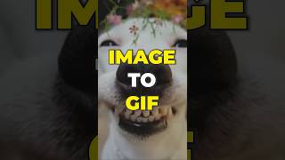 Download lagu Image to GIF | Convert images to GIFs easily, in your web browser mp3