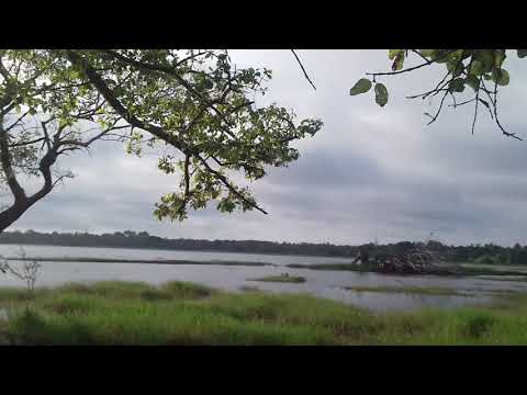 Anuradhapura Nuwara Wawe Siri