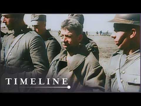 Stalin's Executioners: Uncovering The Truth Behind The Katyn Massacre