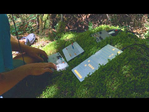 OP-1 + Norns Improv - How To Talk to Moss