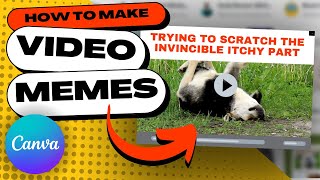 How to Create Your Own VIDEO MEMES Easily in Canva