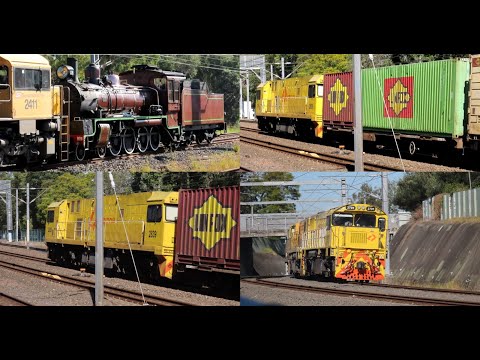 A parade of Queensland diesels, electrics, steam (not in steam though) and a track machine to boot