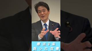 憲法9条改憲  自民党と それに組みする野党マスメディアに騙されたら駄目です