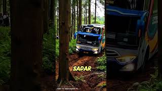 Download lagu Bus Sugeng Rahayu tersesat di hutan ‼️sopir mengaku jalan di tol arah Surabaya 😱#viral #shorts #bus mp3