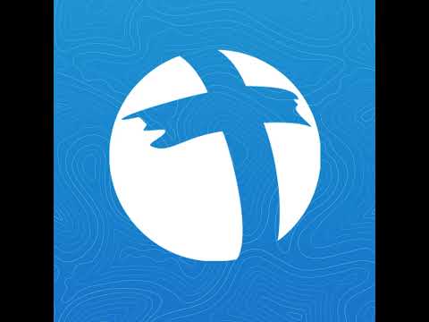 From Madness to Majesty