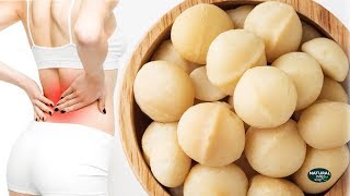 Why You Should Start Eating Macadamia Nuts Every Day | Healthy Diet