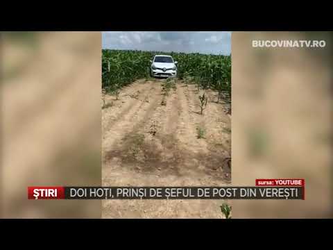 DOI HOTI PRINSI DE SEFUL DE POST DIN VERESTI